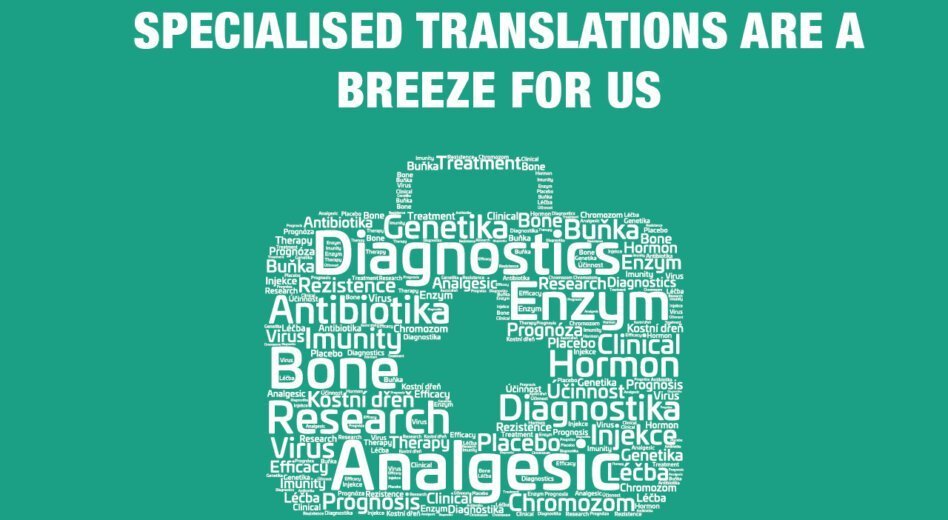 Why is the translator’s specialization important?